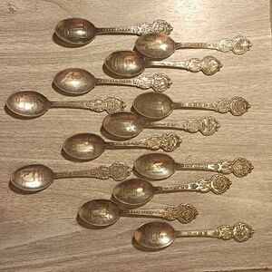 Elegant Silver Decorative Spoons Set